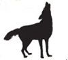 blackcoyote avatar