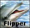 flipper10 avatar