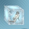 iceweb avatar
